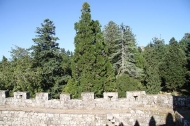 Castelo de Soutomaior